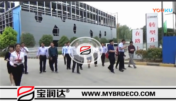 張雪飛市長，住建部長處長一行來訪寶潤達